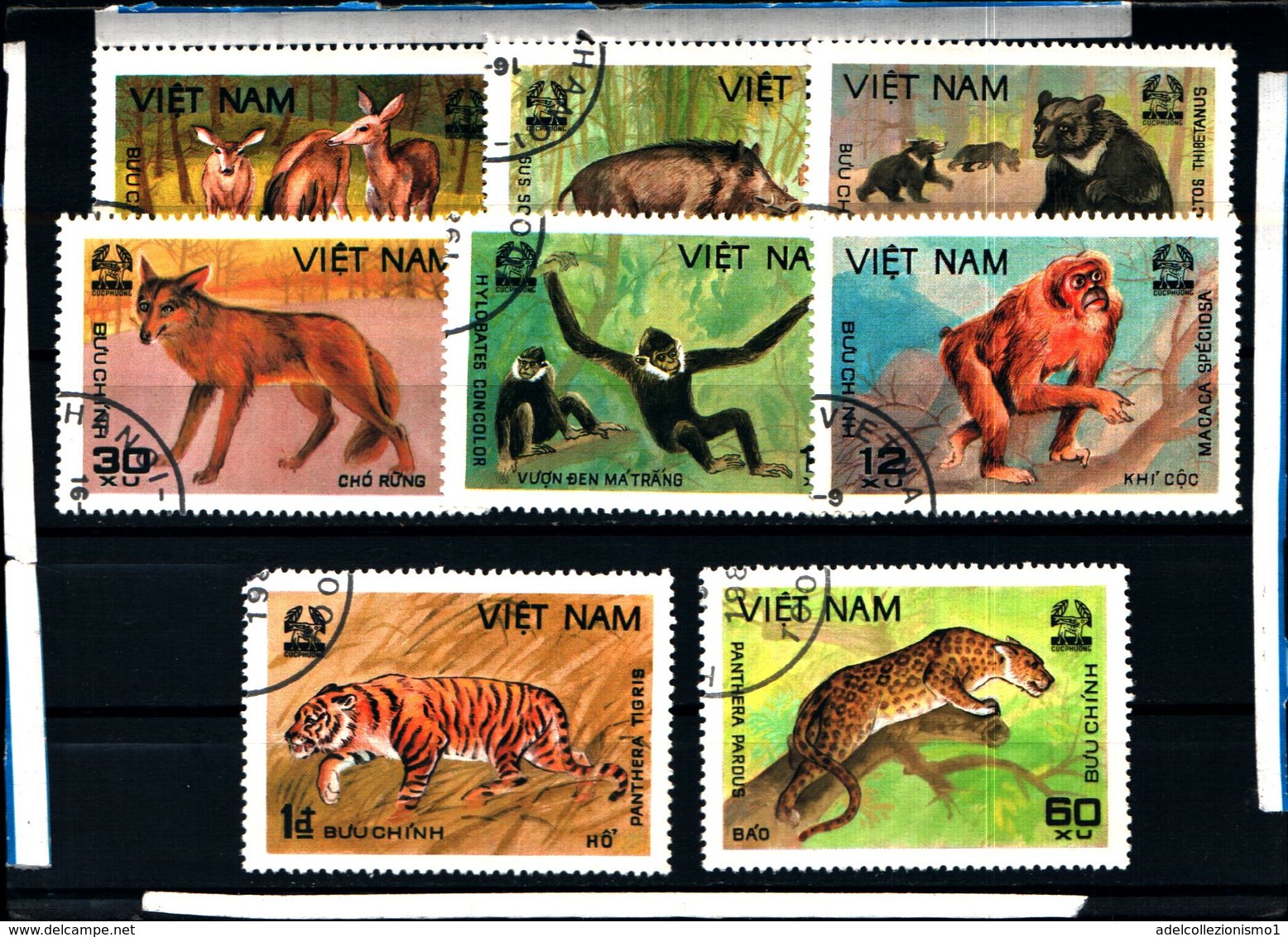 6432b)  1981 VIETNAM DEL NORD FAUNA ANIMALI 8 VAL -SERIE  -USATA - Vietnam