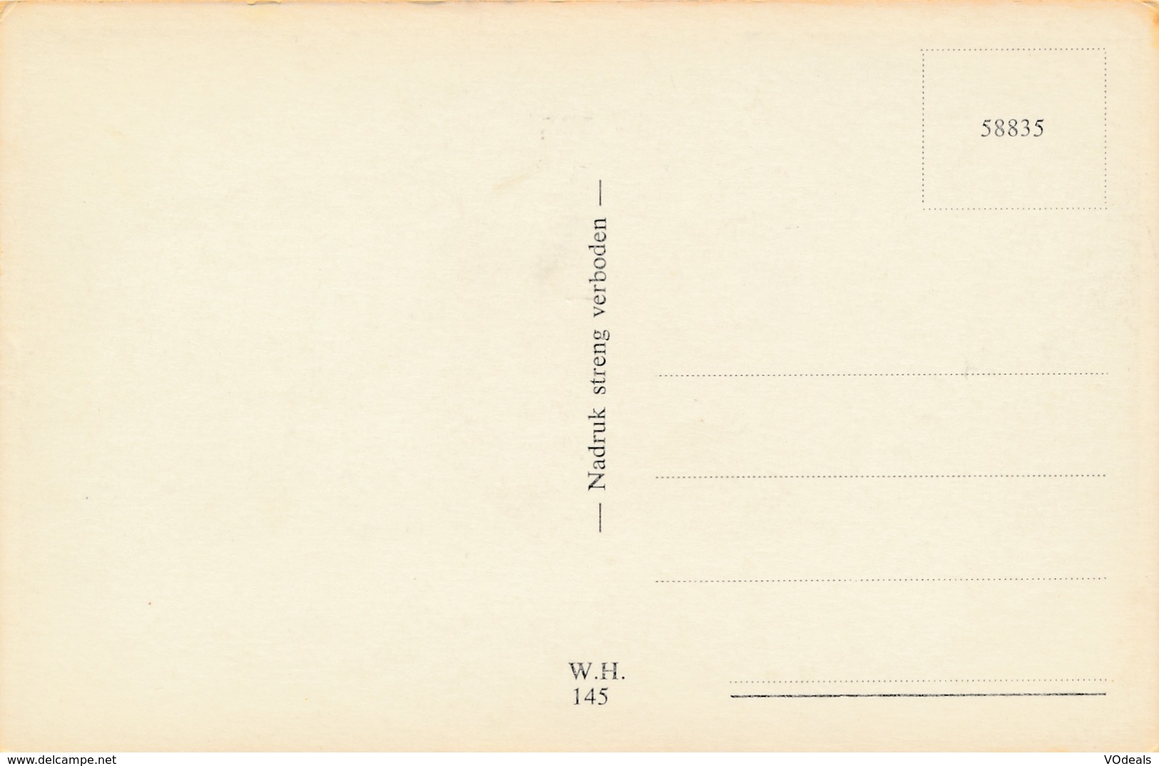 CPSM - Pays-Bas - Nunspeet - F.A. Molijnlaan - Nunspeet