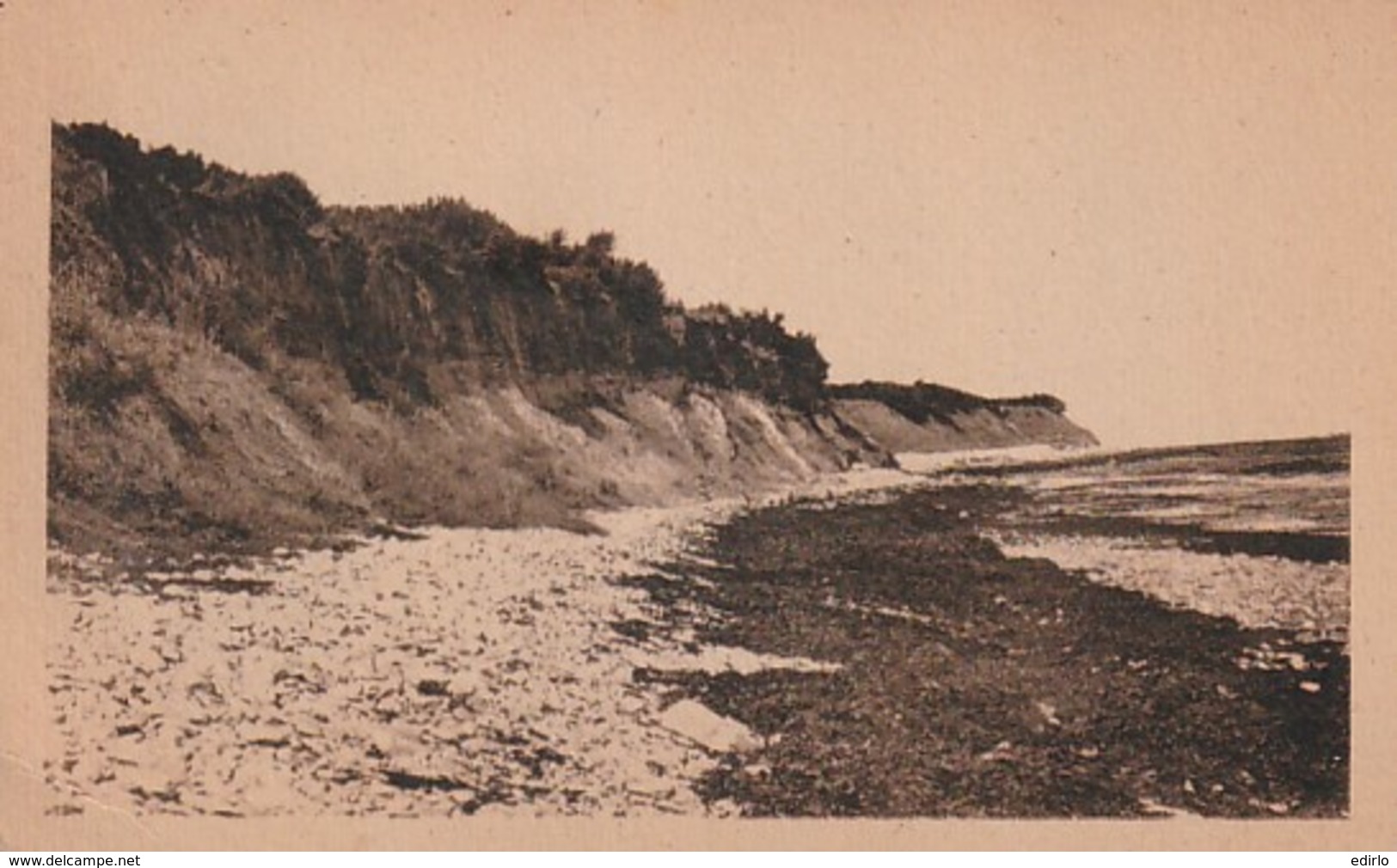 *** 17  ***  ST DENIS D'OLERON  Les Falaises De Chassiron - TTBE Neuve/unusd - Salviac