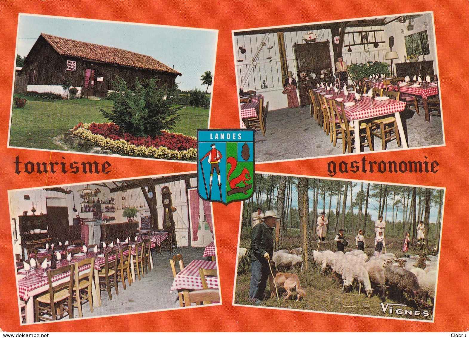 40 Castets Des Landes, Buffet Champêtre - Castets