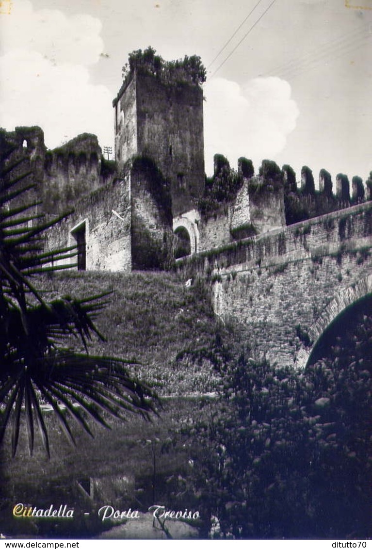 Cittadella - Porta Treviso - Formato Grande Non Viaggiata – E 13 - Treviso