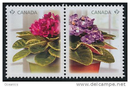 Canada (Scott No.2376a-b - Violettes Africaines / African Violets) [**] (P) Pair Fromt Souvenir Sheet - Neufs