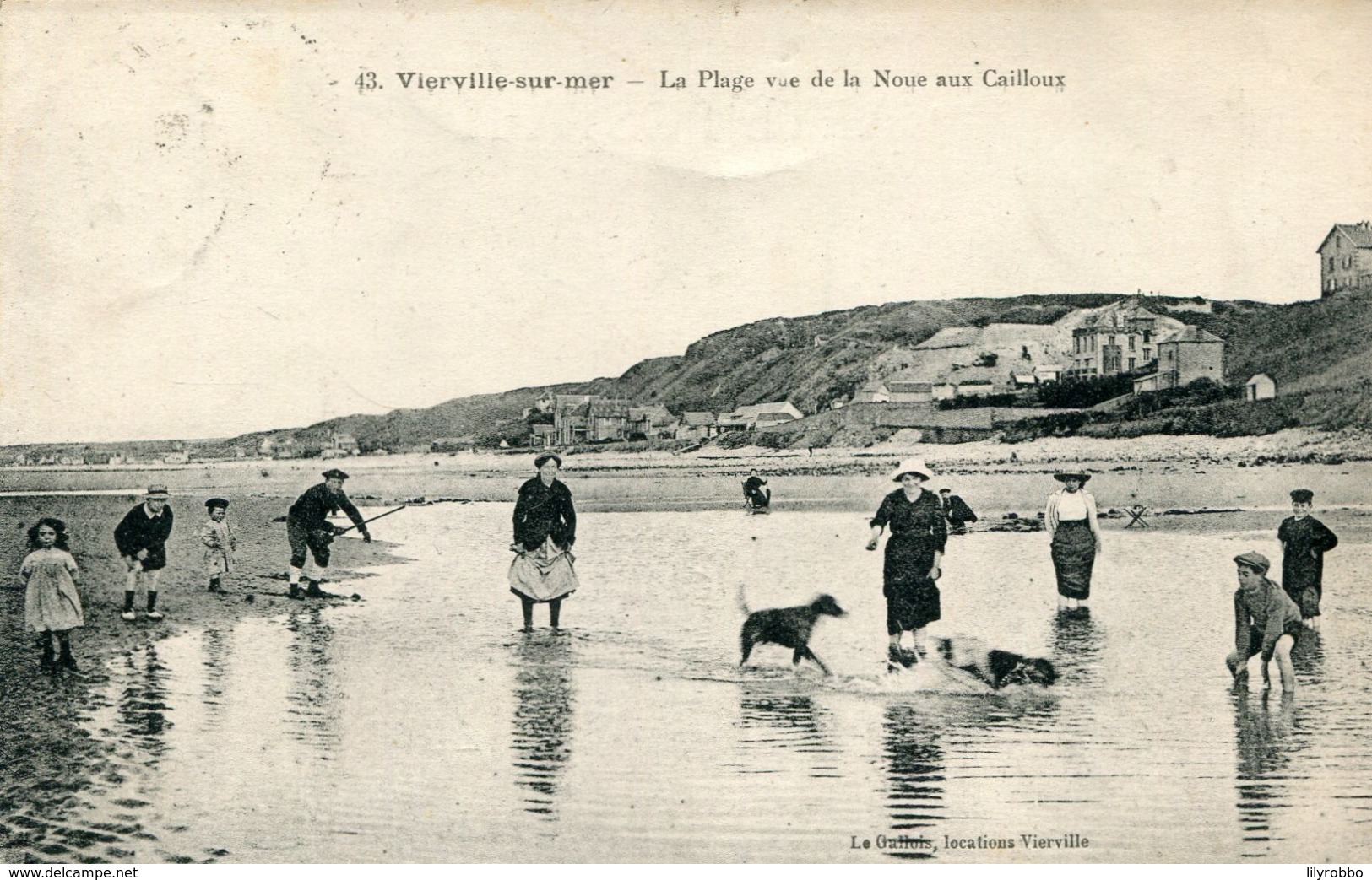 FRANCE - VIERVILLE-sur-MER.  La Plage Vue De La Noue Aux Caillous 1923 - Autres & Non Classés