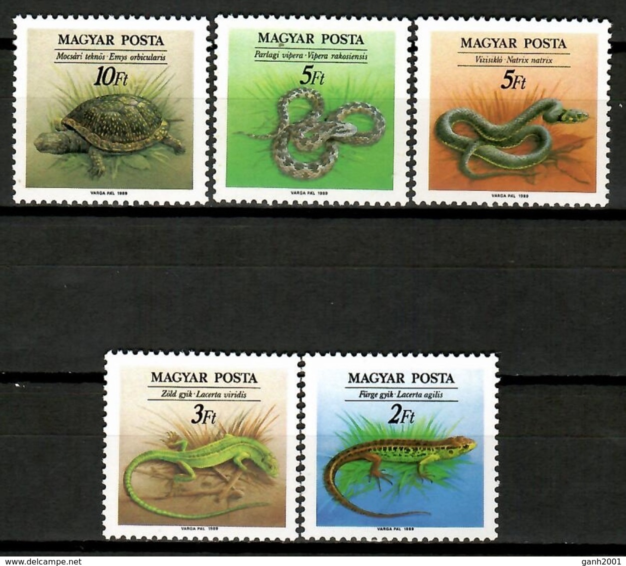 Hungary 1989 Hungría / Reptiles Turtles Snakes Lizards MNH Tortuga Serpiente Lagarto Schildkröten Tortues / Cu12330  5-4 - Tortugas