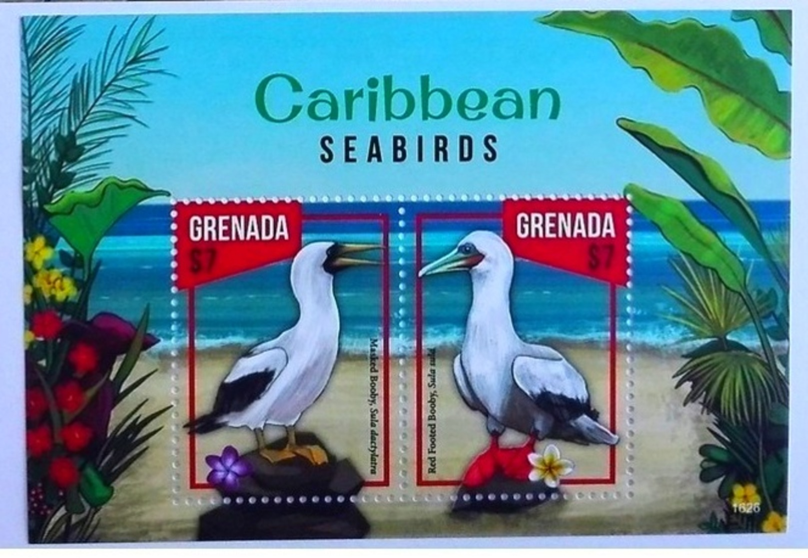 * Grenada 2016**  Mi.bl..926. Caribbean Sea Birds ,MNH [1;35,36] - Otros & Sin Clasificación