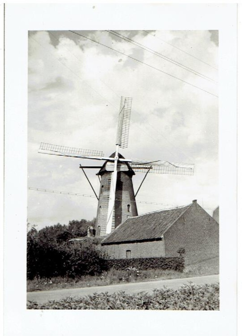 KINROY - Kinrooi - Kleine Foto 9,5 X 6,5 Vm -  Molen Verbeek - Kinrooi