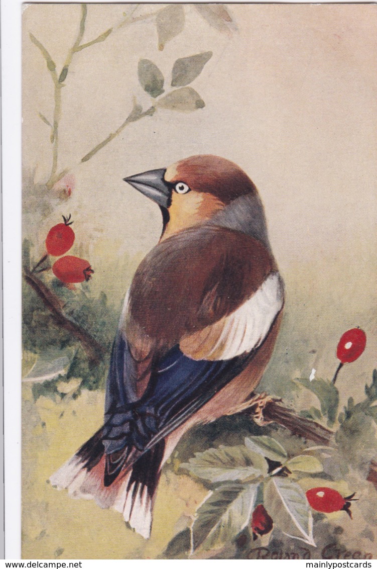 AS75 Birds - Hawfinch By Roland Green - Other & Unclassified