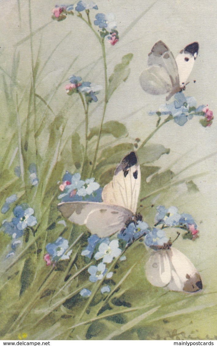 AS75 C. Klein - Butterflies And Forget Me Nots - Klein, Catharina