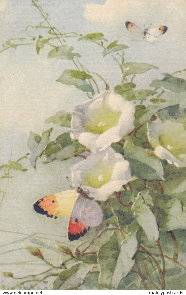 AS75 C. Klein - Butterflies And Bindweed - Klein, Catharina