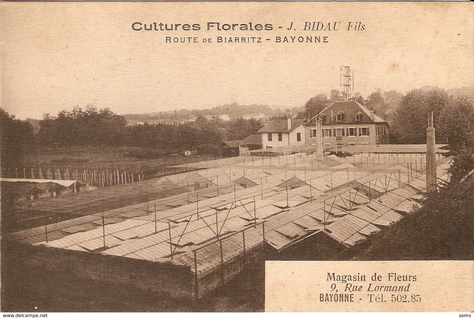 Bonne Cpa Du Pays Basque, Cultures Florales J. Bidau Fils Route De Biarritz, Serres, Magasin Rue Lormand - Bayonne