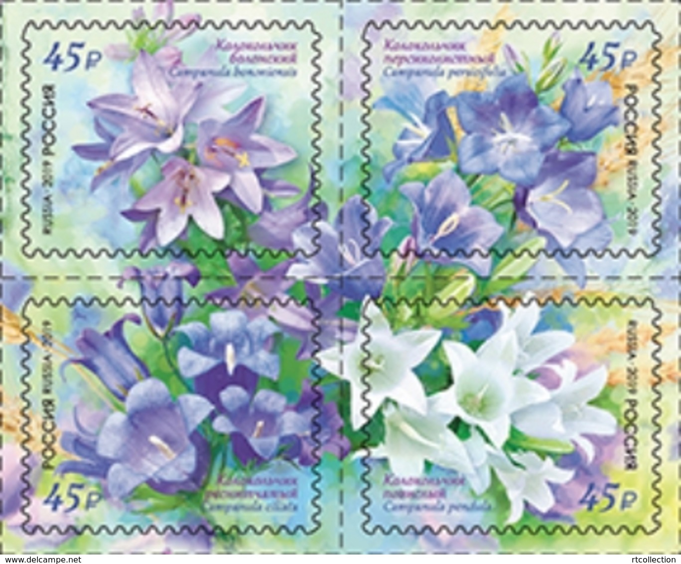 Russia 2019 - Set Of One Block Flora Bellflower Russian Nature Plants Flower Bluebells Plant Flower Sticker Stamps MNH - Ungebraucht