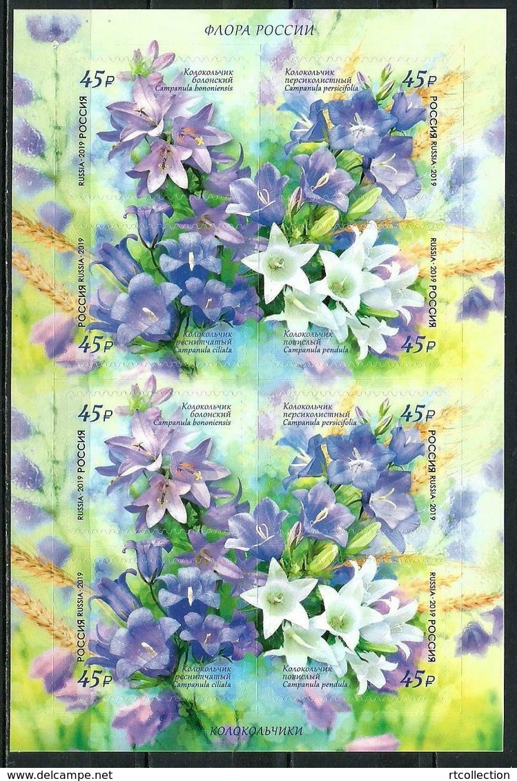 Russia 2019 - Sheet Flora Bellflower Russian Nature Plants Flower Bluebells Plant Flower Sticker Stamps MNH - Full Sheets