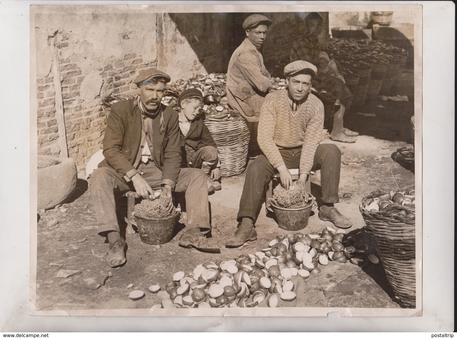 LEMON AND ORANGE PEEL FOR MARMALADE SICILY ITALY ISLAND   +- 25*20CM  Fonds Victor FORBIN (1864-1947) - Mestieri