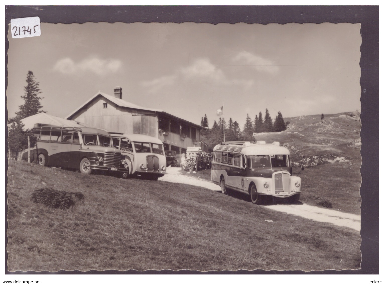 FORMAT 10x15cm - DISTRICT DE LA VALLEE - AUTOCARS AU RESTAURANT DE LA DENT DE VAULION - TB - Vaulion