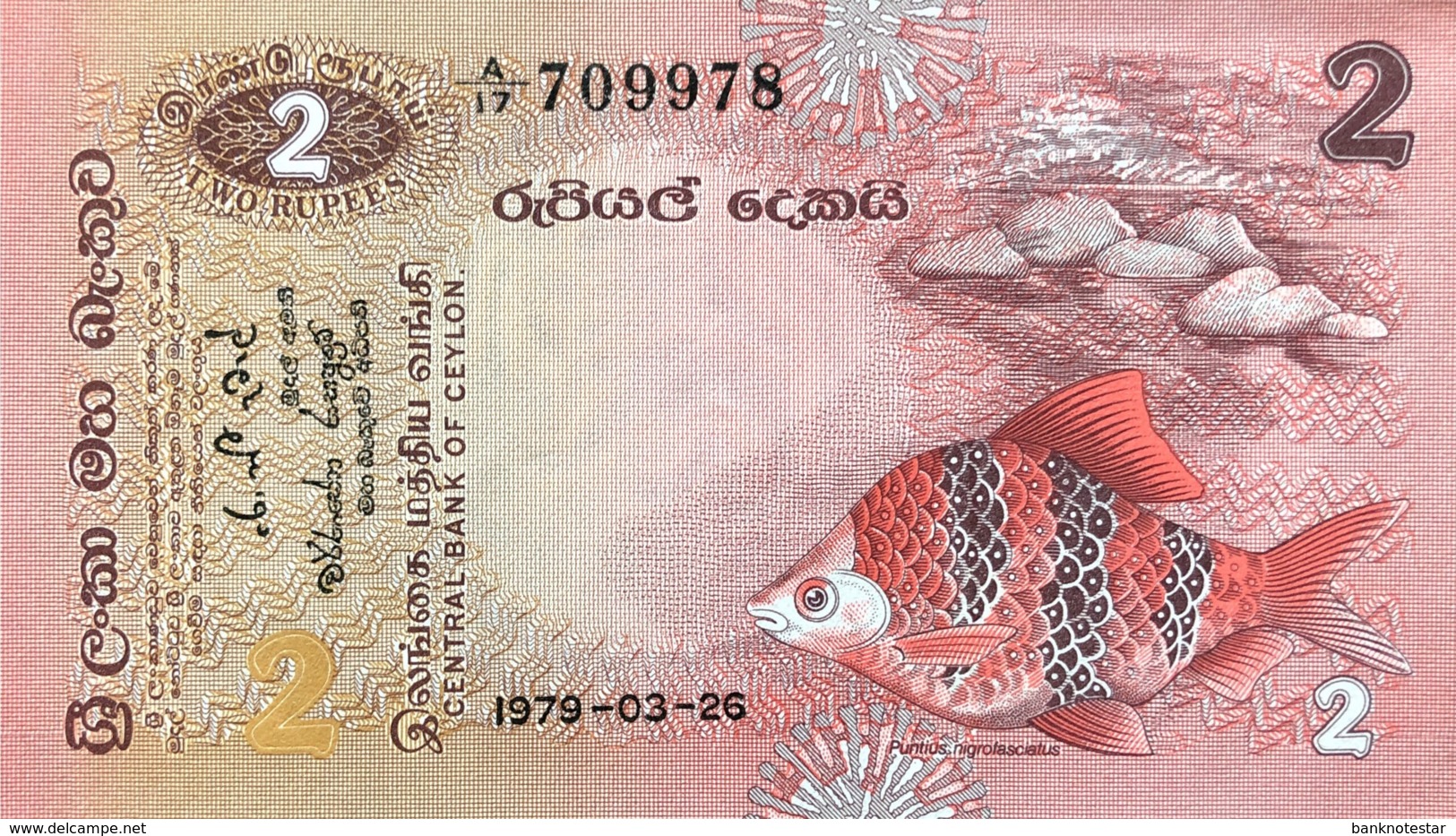 Sri Lanka 2 Rupees, P-83 (26.3.1979) - UNC - Sri Lanka