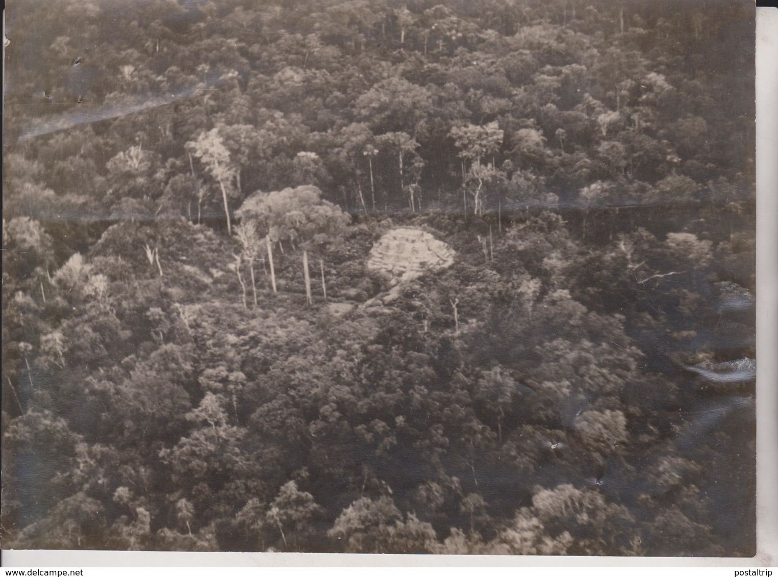 RAIN FOREST    +- 21*15CM  Fonds Victor FORBIN (1864-1947) - Lugares