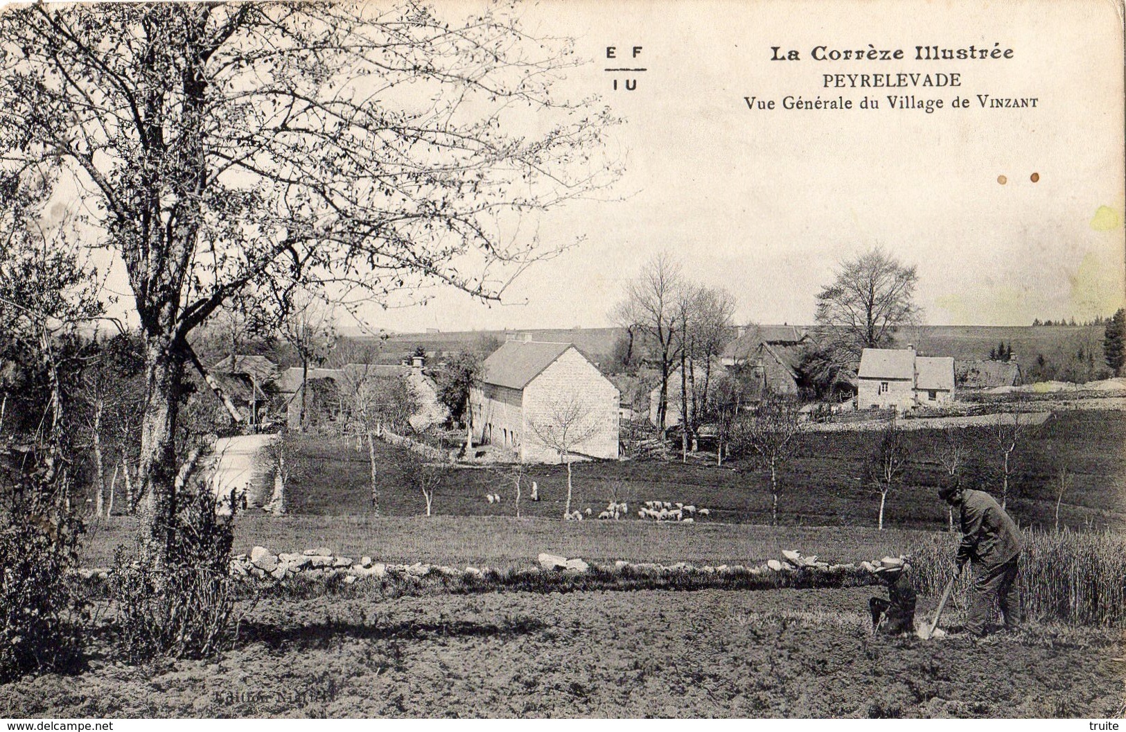 PEYRELEVADE VUE GENERALE DU VILLAGE DE VINZANT - Autres & Non Classés