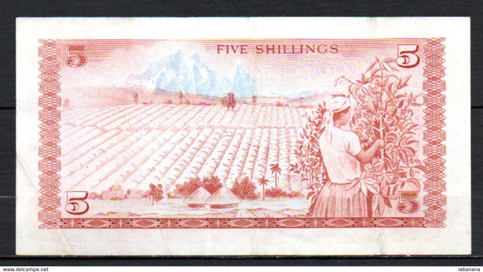 329-Kenya Billet De 5 Shillings 1978 C31 - Kenia