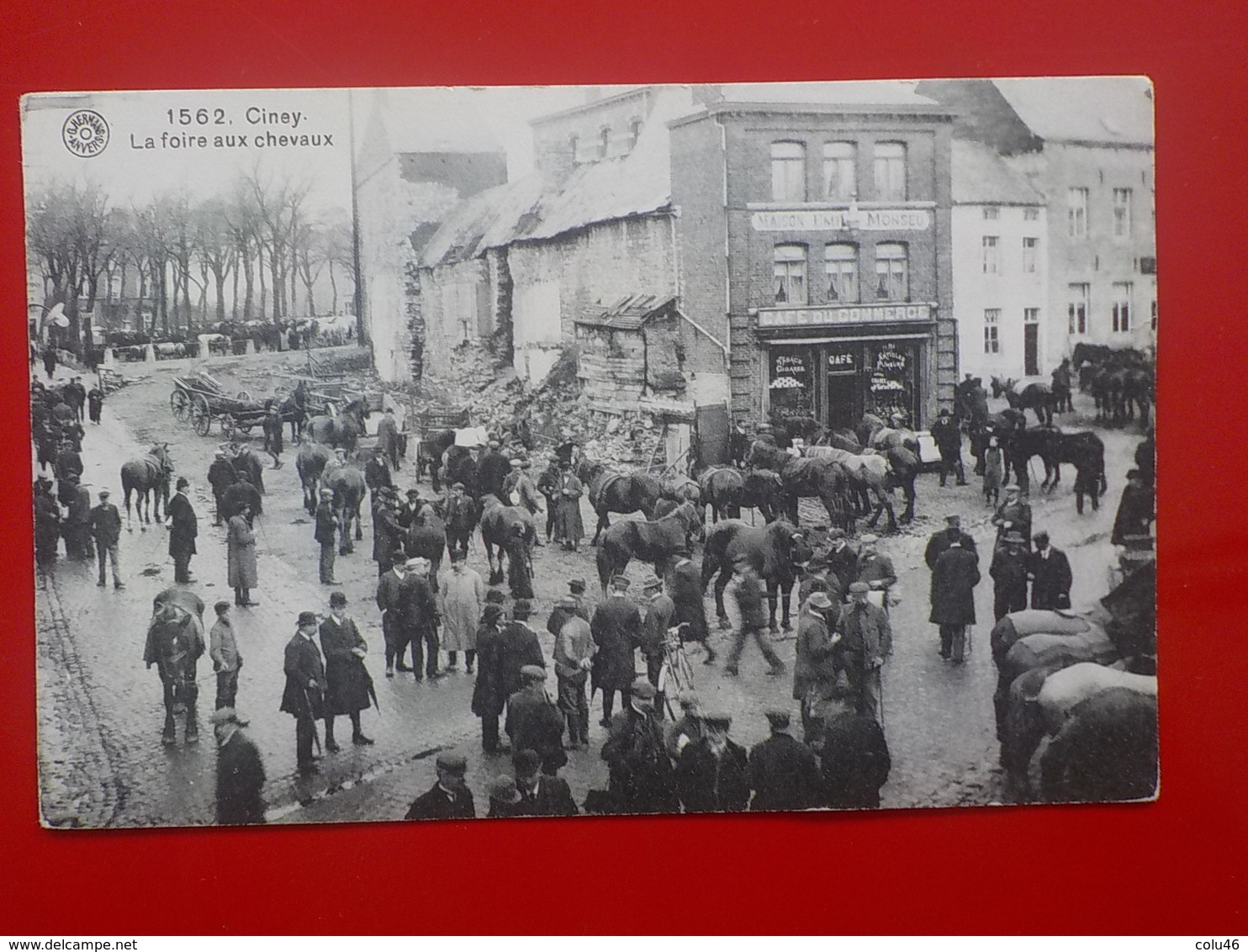 CP Ciney La Foire Aux Chevaux N° 1562 - Ciney