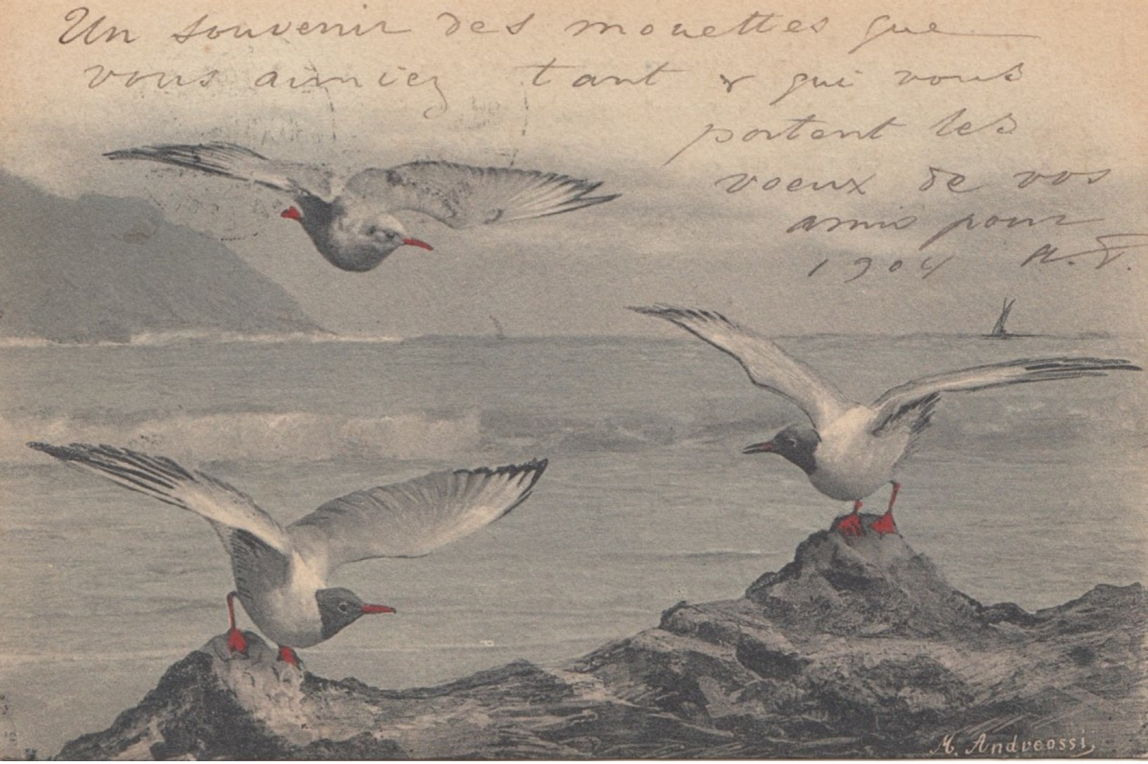 Sea Gulls , 1903 - Birds