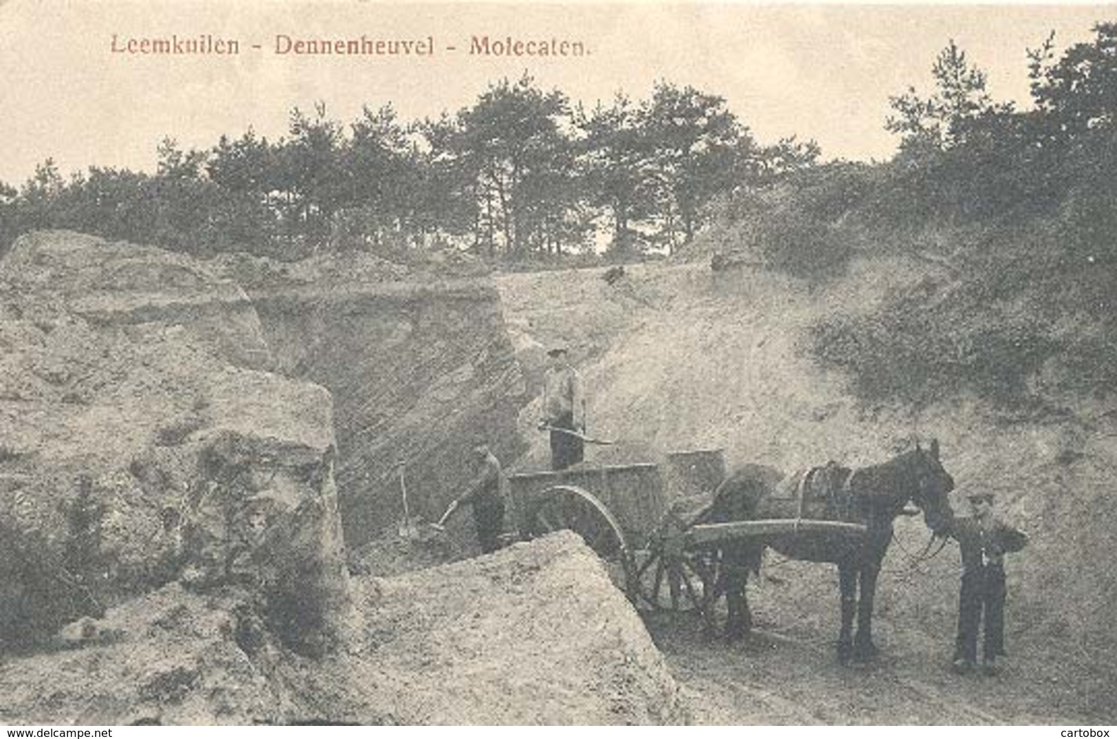 Molecaten, Leemkuilen Dennenheuvel  (Hattem) - Hattem