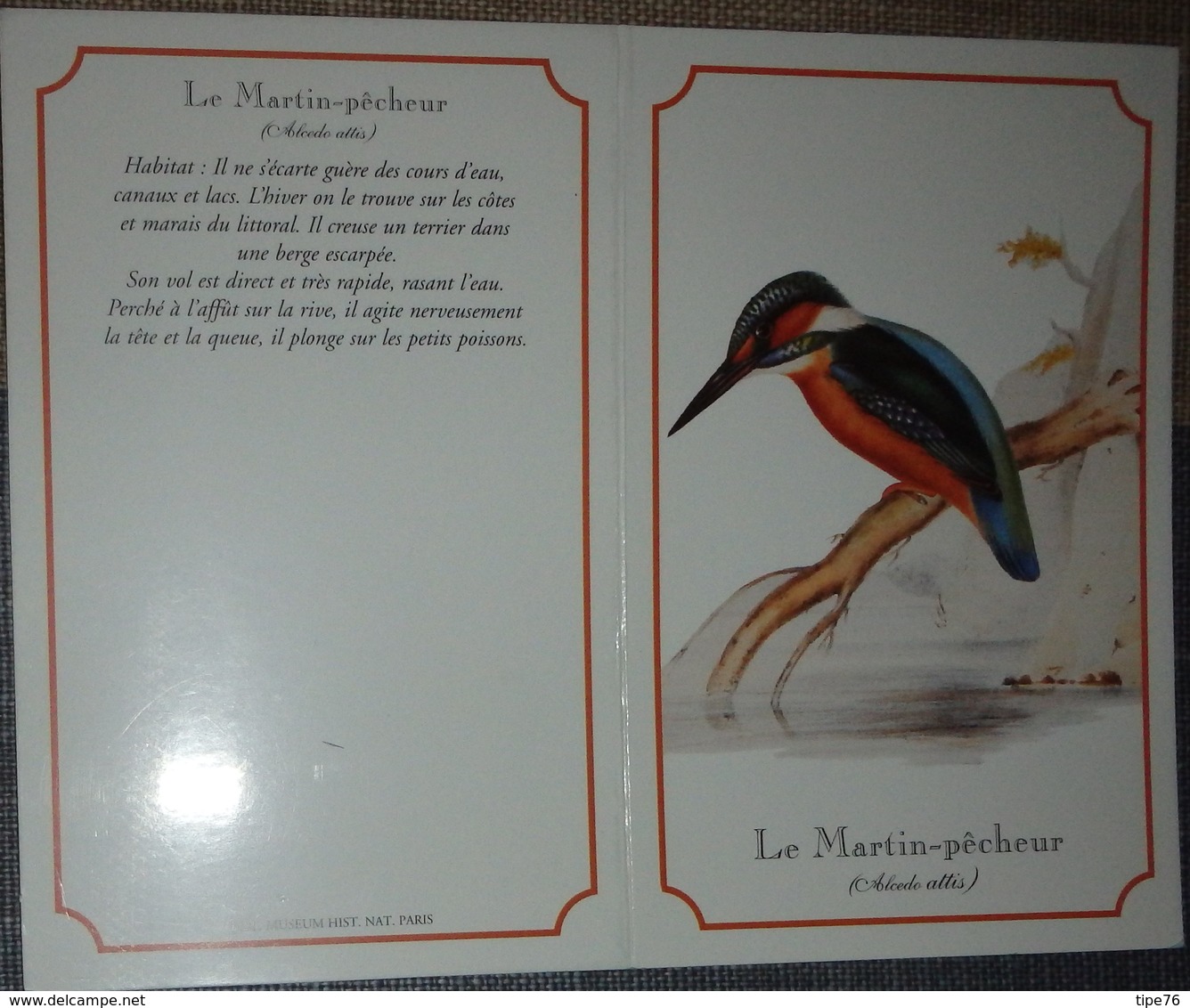 Petit Calendrier Poche 1996 Création Dobola Angouleme - Oiseau Martin Pêcheur - Small : 1991-00