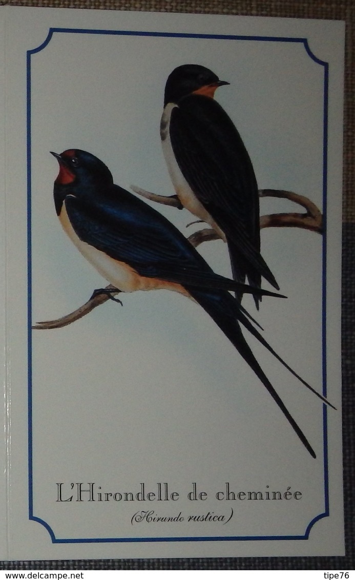 Petit Calendrier Poche 1996 Création Dobola Angouleme - Oiseau Hirondelle De Cheminée - Small : 1991-00