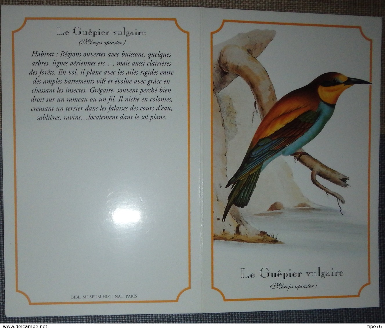 Petit Calendrier Poche 1996 Création Dobola Angouleme - Oiseau Guepier Vulgaire - Small : 1991-00