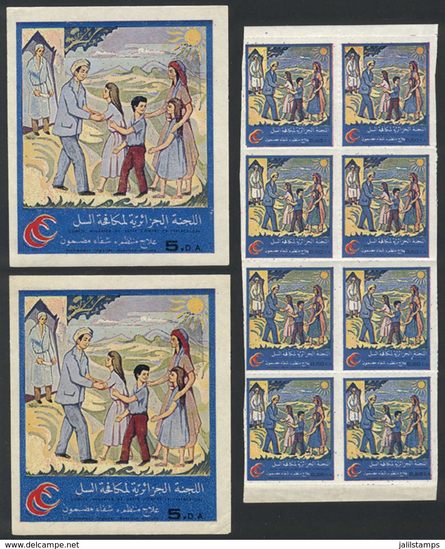 ALGERIA: FIGHT AGAINST TUBERCULOSIS: Lot Of 8 Stamps + 2  Window Labels, Excellent Quality! - Algerien (1962-...)