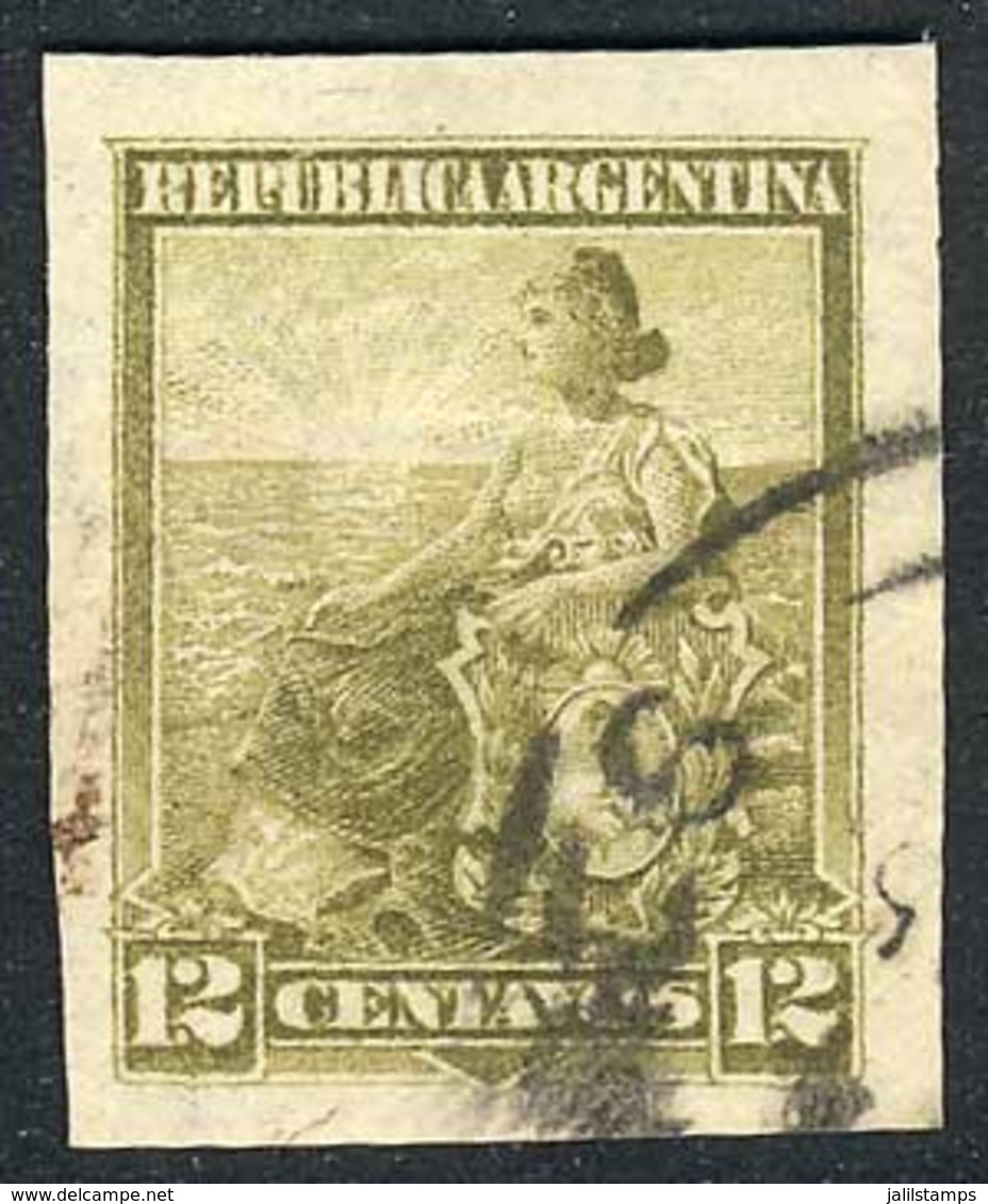 ARGENTINA: GJ.226, 1899 Liberty 12c. Olive Green IMPERFORATE Variety, With Huge Margins, Used, Extremely Rare, Unlisted! - Other & Unclassified