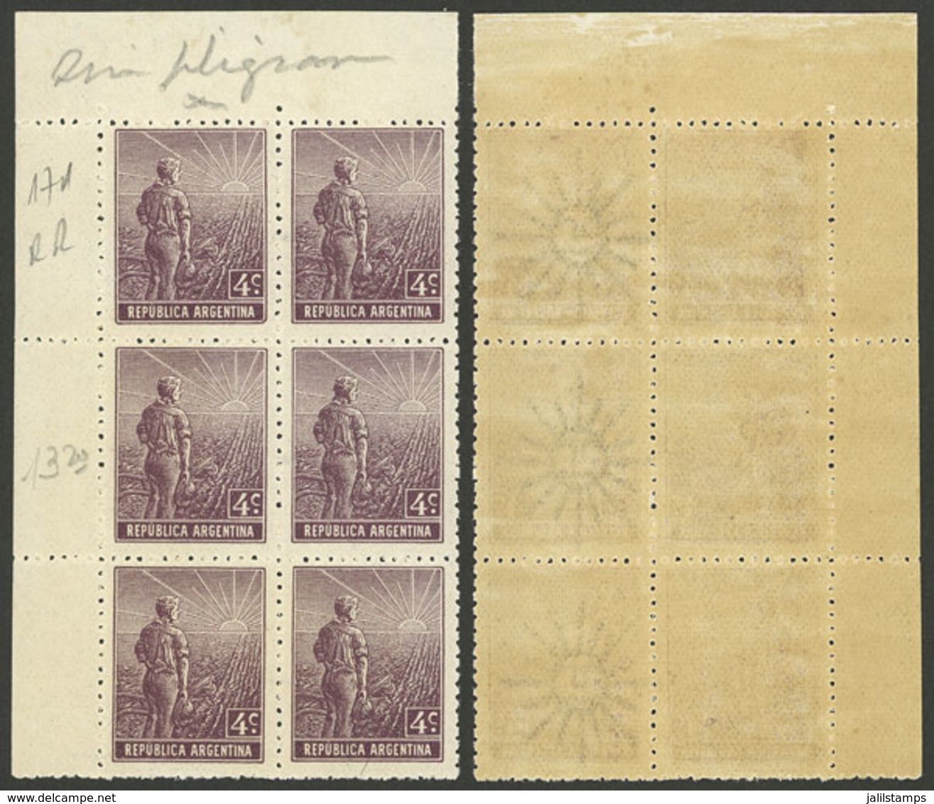 ARGENTINA: GJ.331b, Block Of 6 Consisting Of 3 Pairs WITH AND WITHOUT WATERMARK, MNH (+50%), VF! - Autres & Non Classés