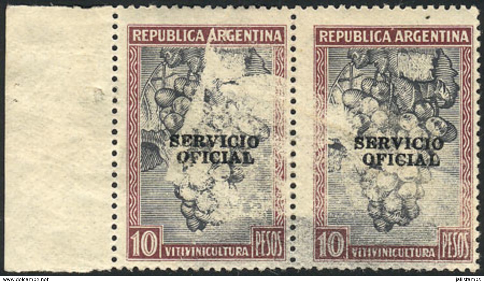 ARGENTINA: GJ.669, 10P. Grapes Unwatermarked, Pair With Spectacular Varieties: Stamps With Large Unprinted Areas And The - Service