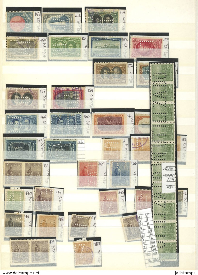 ARGENTINA: STAMPS WITH INVALIDATING PERFORATIONS: Collection In Stockbook Of Hundreds Of Stamps Including Many LOW VALUE - Autres & Non Classés