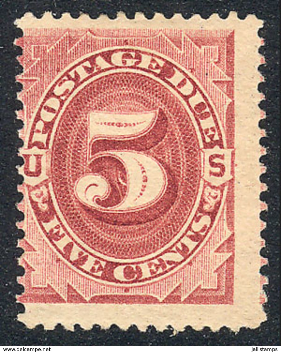 UNITED STATES: Sc.J25, 1891 5c. Carmine Rose, Mint Original Gum, VF, Catalog Value US$100. - Portomarken