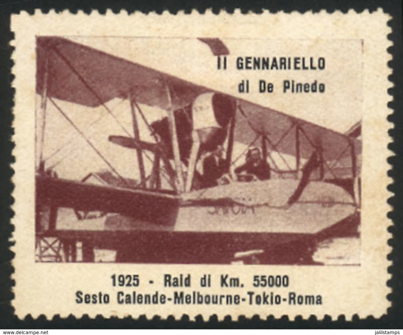 ITALY: Aviator De Pinedo With His Seaplane "Gennariello", Old Cinderella Commemorating This 55,000 Flight Of 1925, VF!" - Unclassified