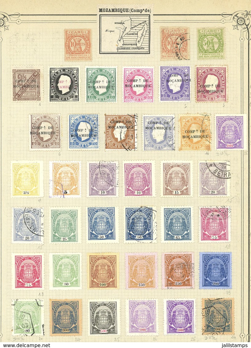 MOZAMBIQUE (COMPANY): Old Collection On Pages With Used And Mint Stamps, Fine General Quality. The Owner Indicates An Yv - Mozambique