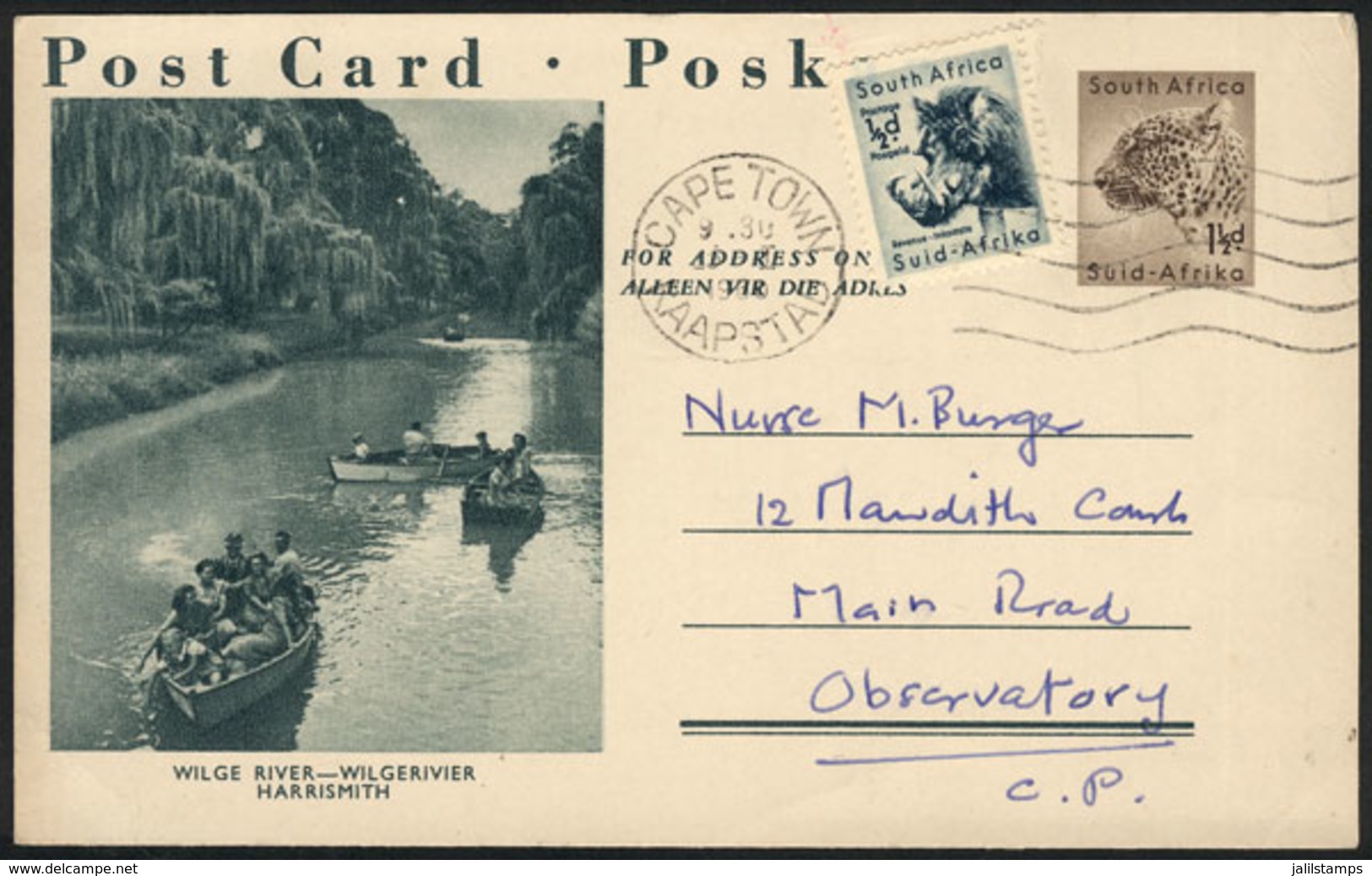 SOUTH AFRICA: 1½p. Postal Card + ½p. Green, View Of "Wilge River, Harrismith", Used In Cape Town In 1960, VF!" - Sonstige & Ohne Zuordnung