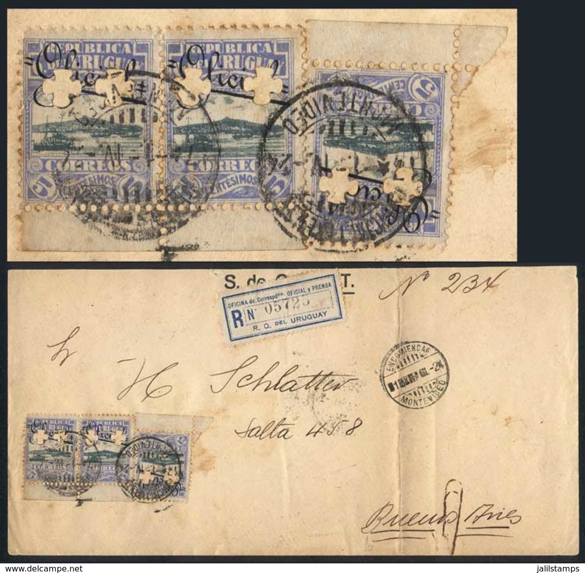URUGUAY: Registered Official Cover Sent To Buenos Aires On 1/AP/1924, Franked By Sc.O126 With Two Clover Punch Holes Eac - Uruguay