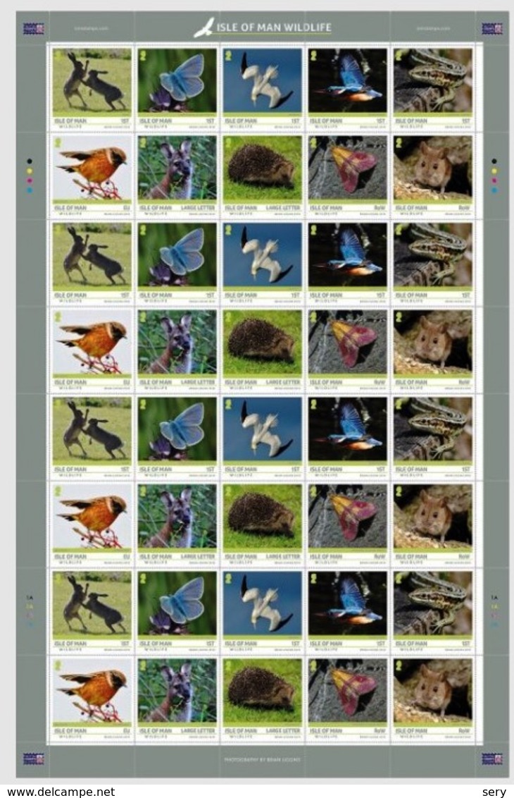 ISLE OF MAN 2019   Full Sheet MNH  Wildlife Hare Butterfly Birds Hedgehog Mouse Stonechat - Altri & Non Classificati