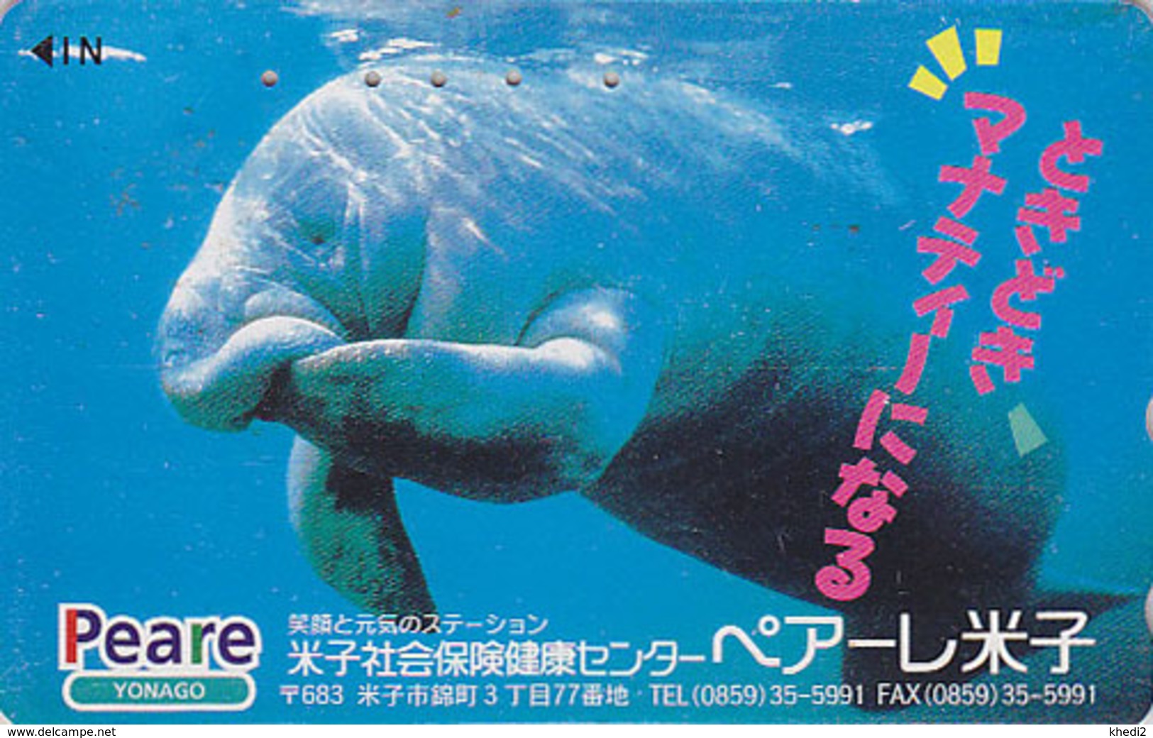 Télécarte Japon / 110-011 - ANIMAL - DUGONG LAMANTIN -  Mammifère Marin - MANATEE Japan Phonecard - 15 - Dauphins