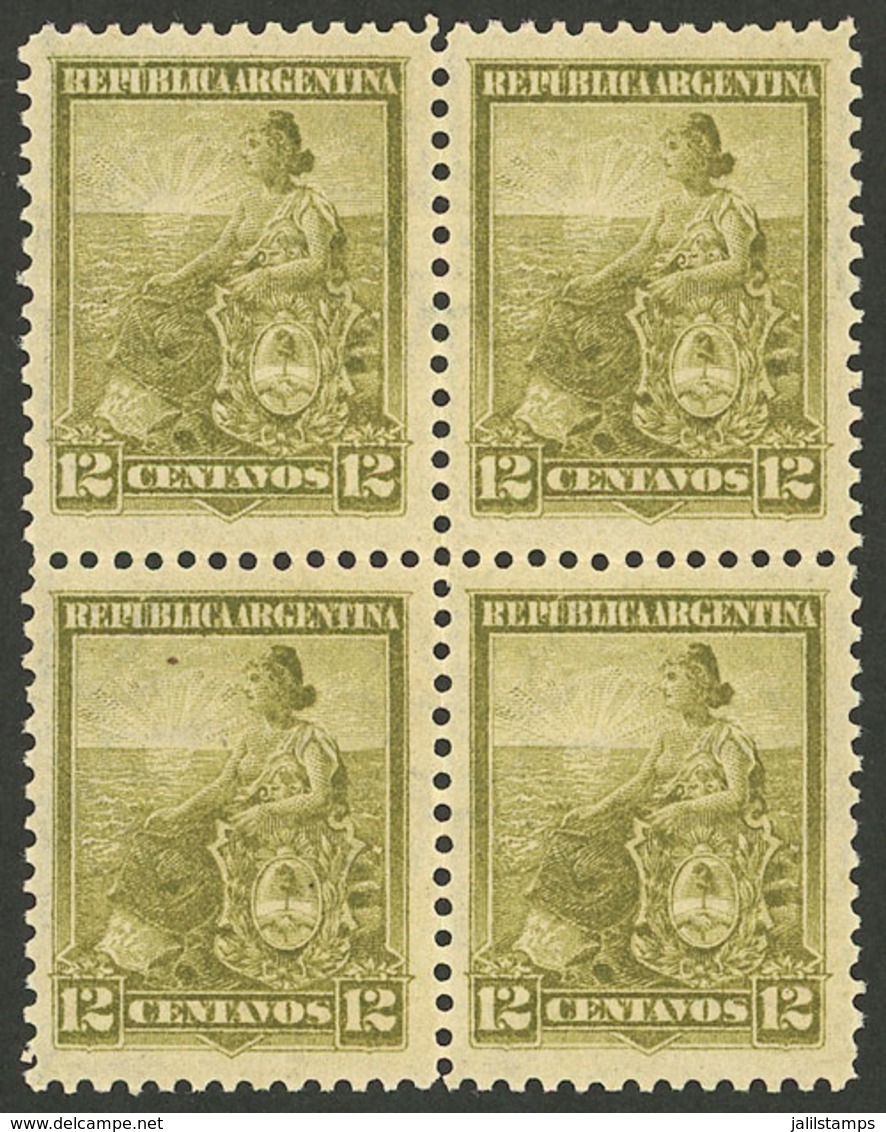 ARGENTINA: GJ.248, Liberty 12c. Olive Green, Block Of 4 PERFORATION 12, MNH (+50%), Superb, Rare! - Unused Stamps