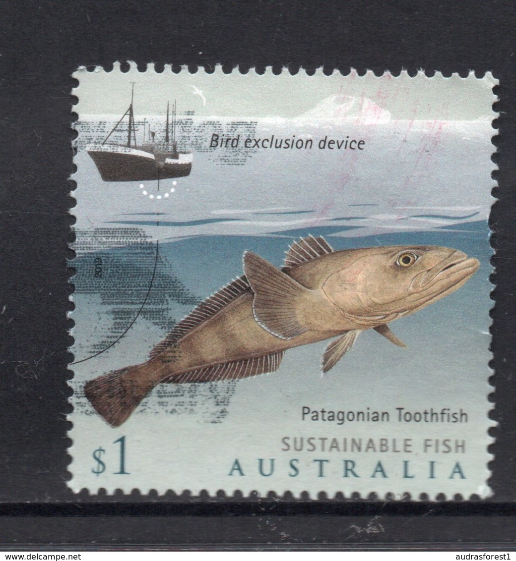 2019 AUSTRALIA Patagonian Toothfish (Dissostichus Eleginoides) VERY FINE POSTALLY USED $1 Sheet Stamp - Oblitérés