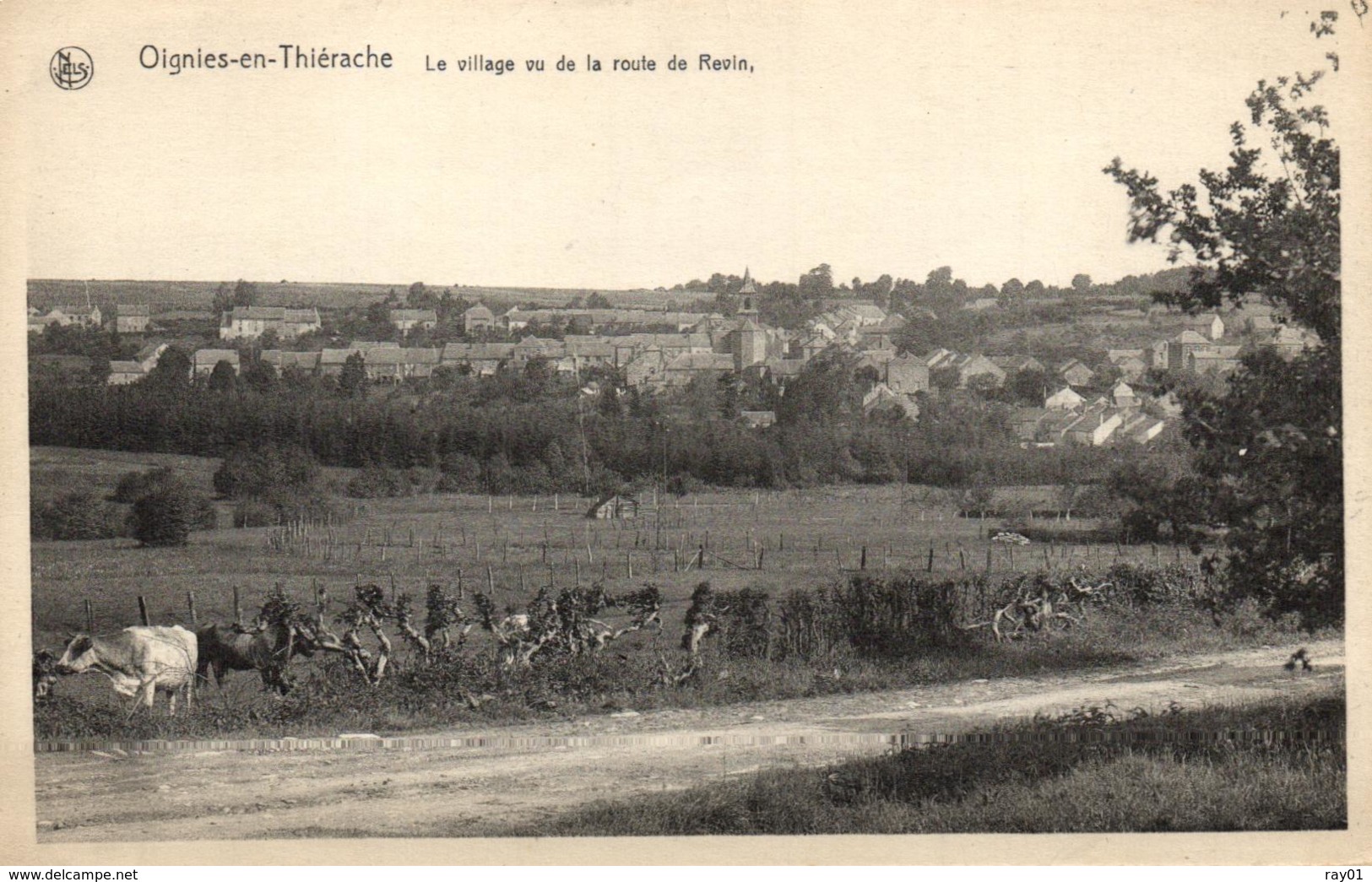 BELGIQUE - NAMUR - PHILIPPEVILLE - OIGNIES-EN-THIERACHE - Le Village Vu De La Route De Revin. - Philippeville