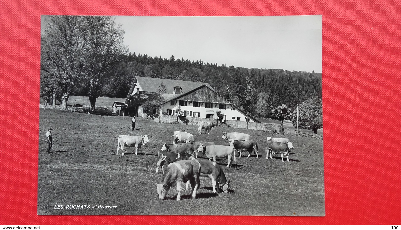 Restaurant Les Rochats.Provence.Feldpost.Cows - Provence