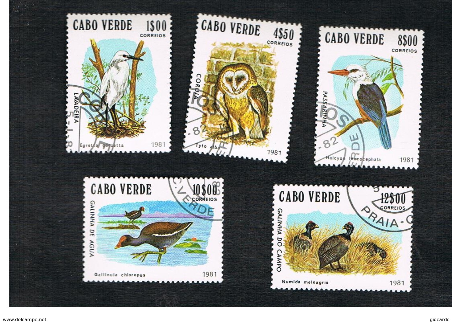 CAPO VERDE (CAPE VERDE)    -  SG 512.516  -  1981 BIRDS (COMPLET SET OF 5)    - USED ° - Isola Di Capo Verde