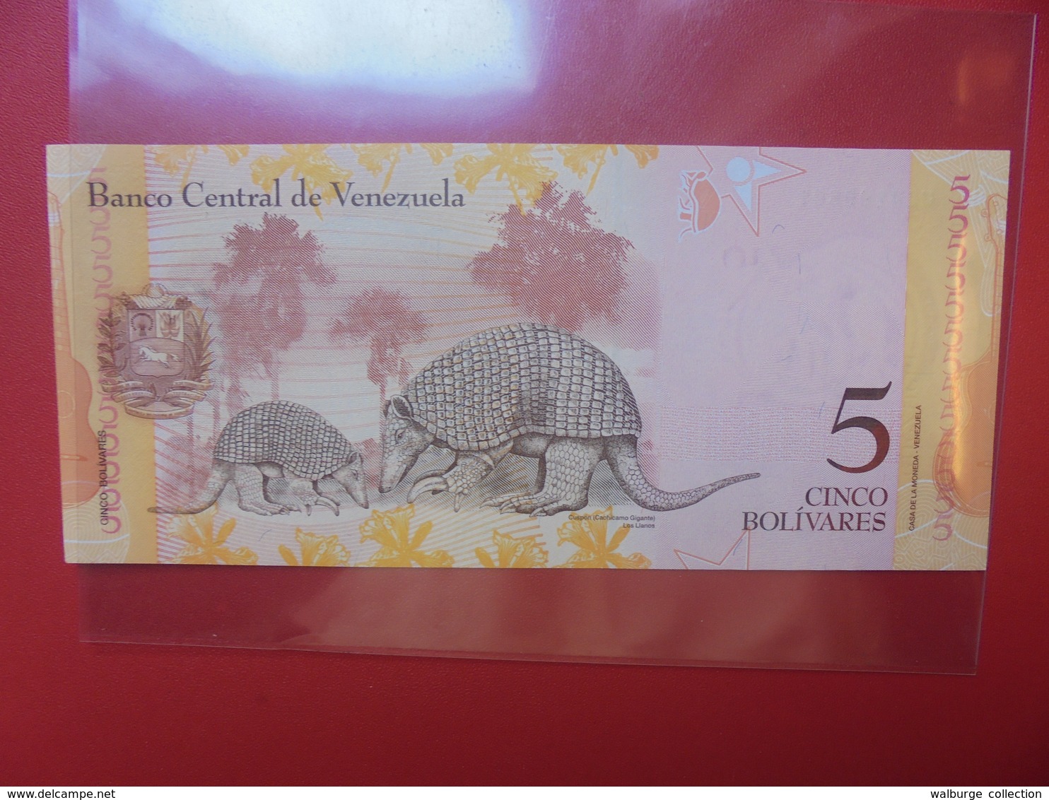 VENEZUELA 5 BOLIVARES 2014 PEU CIRCULER/NEUF - Venezuela