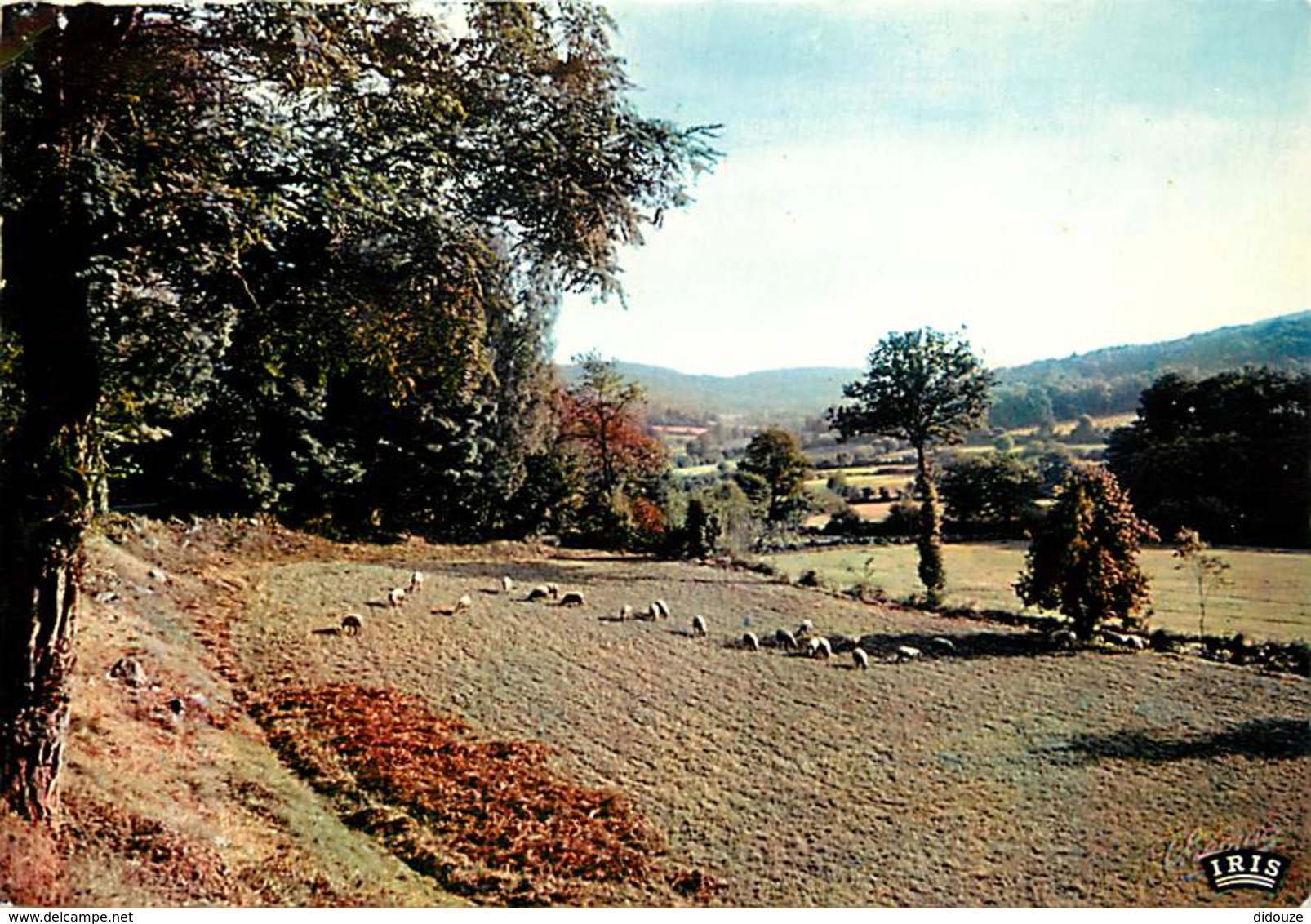 19 - Corrèze - Le Limousin - Les Ombres S'allongent Les Bêtes S'attardent - Voir Scans Recto-Verso - Autres & Non Classés