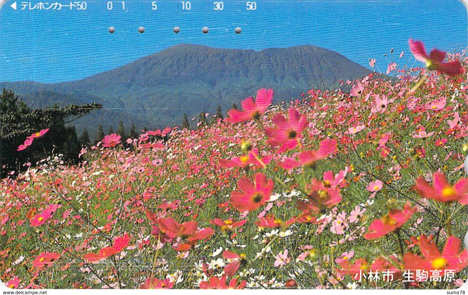 FLEUR - FLOWER - Télécarte Japon - Fleurs