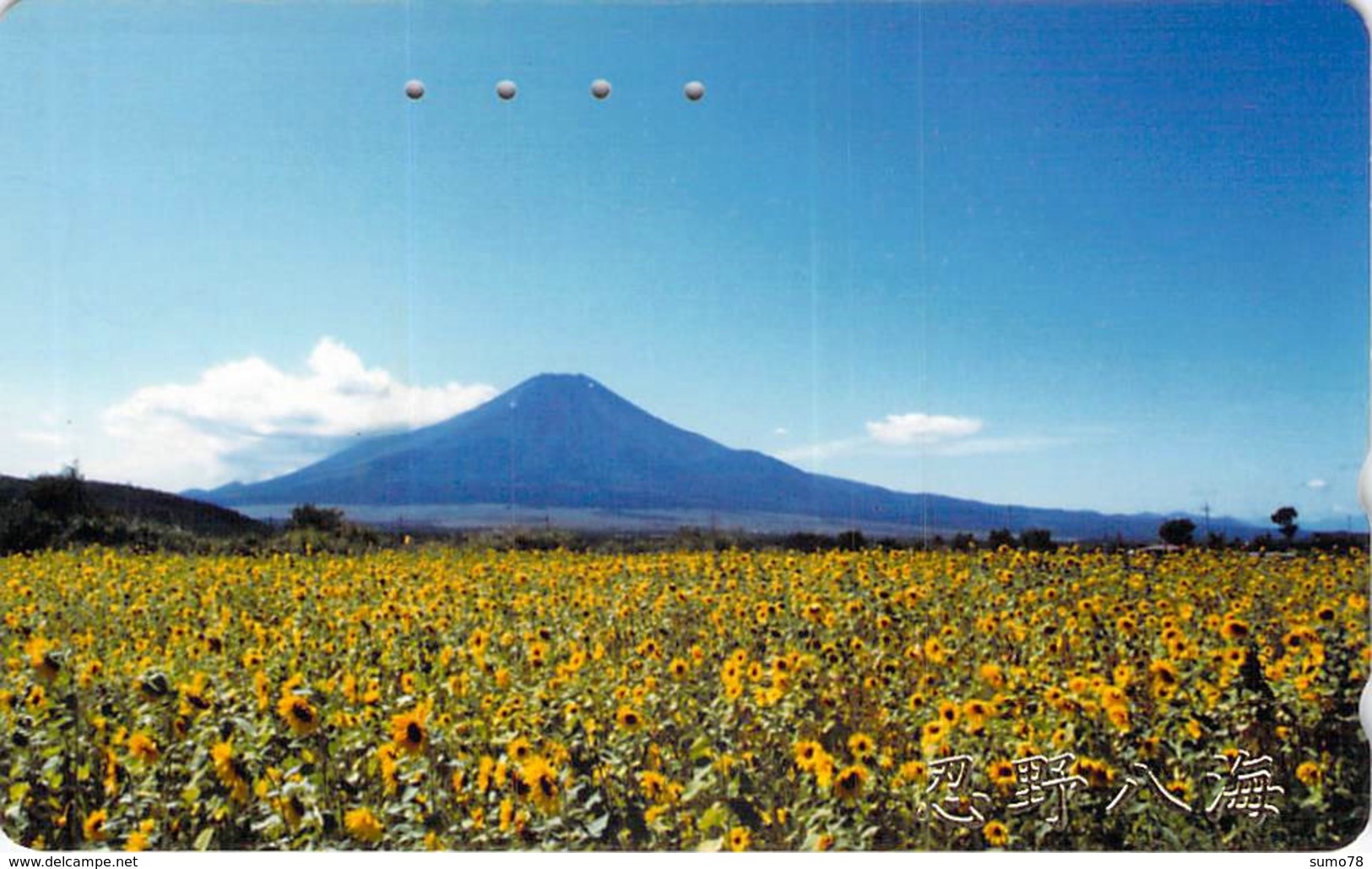 FLEUR - FLOWER - Télécarte Japon - Fleurs