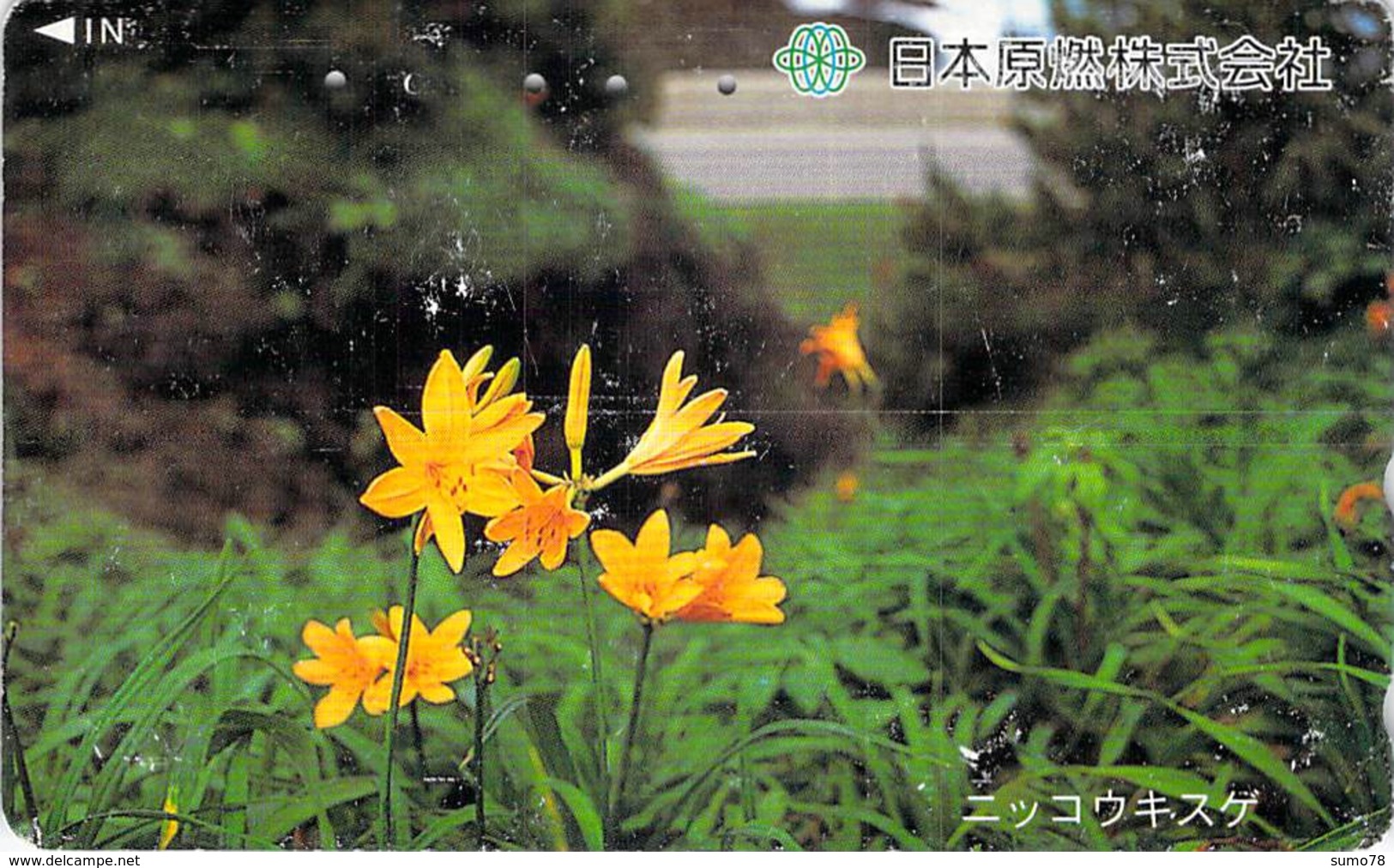 FLEUR - FLOWER - Télécarte Japon - Fleurs